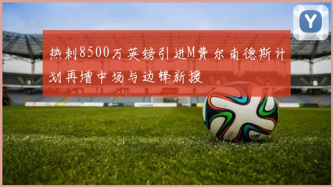 热刺8500万英镑引进M费尔南德斯计划再增中场与边锋新援