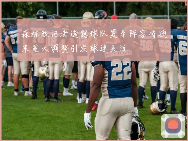 森林狼记者透露球队夏季阵容将迎来重大调整引发球迷关注
