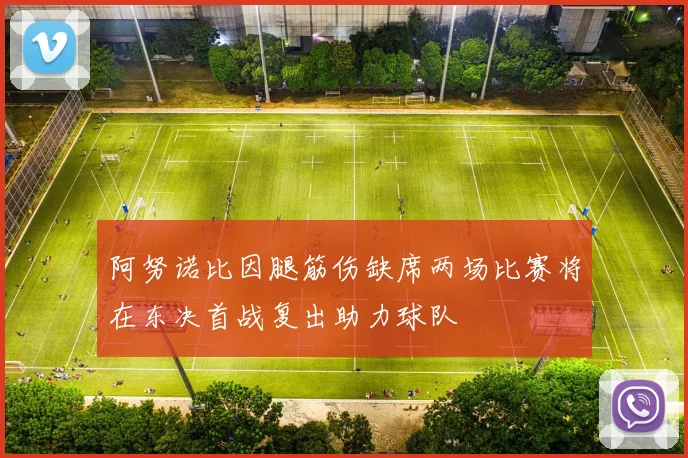 阿努诺比因腿筋伤缺席两场比赛将在东决首战复出助力球队
